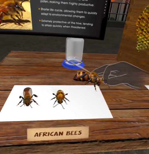 Abeja
